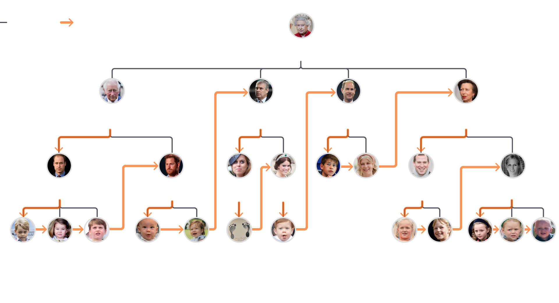 König Charles III. Wer folgt auf wen? ZEIT ONLINE König Charles III. Wer folgt auf wen? ZEIT ONLINE